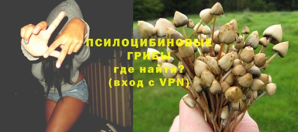 стаф Нягань