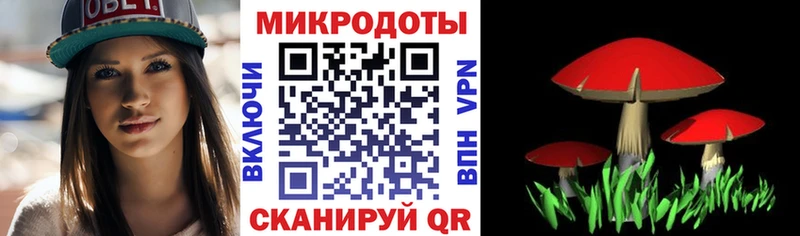 Галлюциногенные грибы Psilocybe  Североморск 