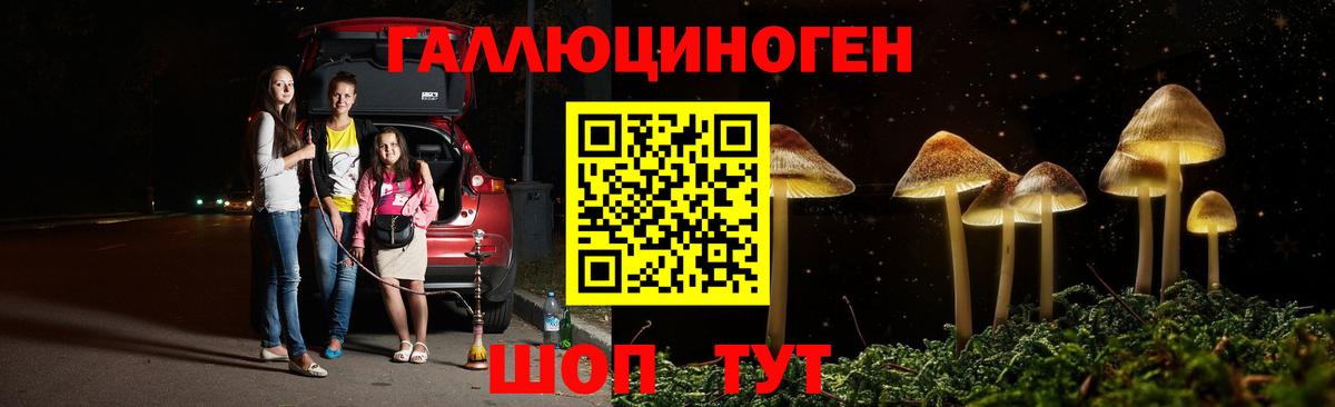 Галлюциногенные грибы Psilocybine cubensis  Вход с VPN  Североморск 