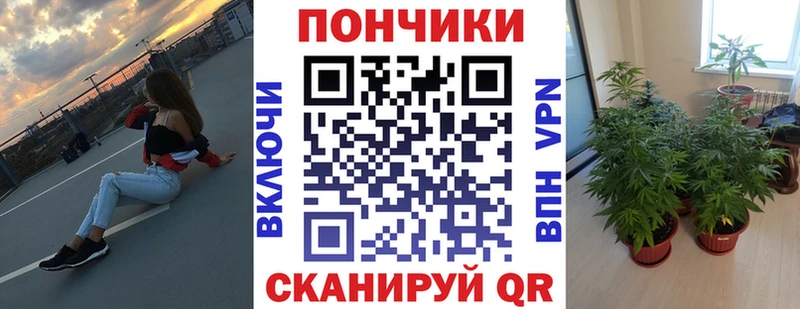 MEGA tor  Североморск  Марихуана планчик  купить закладку 